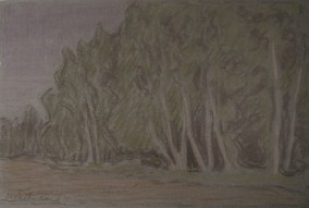 Н.В. Мещерин "Лесной пейзаж" 1913 (собрание ГМИИ РТ)
