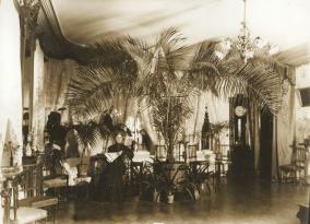 Иоганна Васильевна в своей гостиной под пальмой, выращенной ею из семечка, 1904 (фото А.Бренинга)