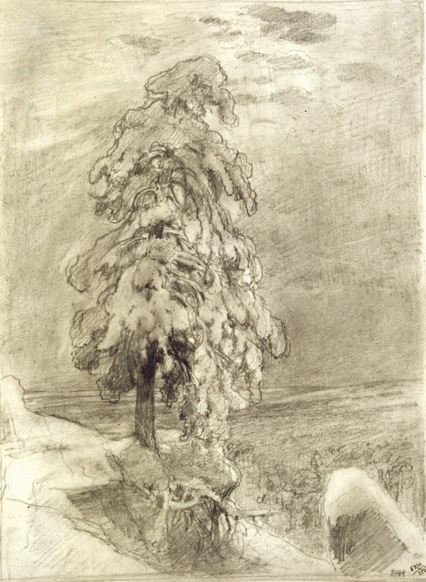 «На севере диком...», Ivan Shishkin, 1890