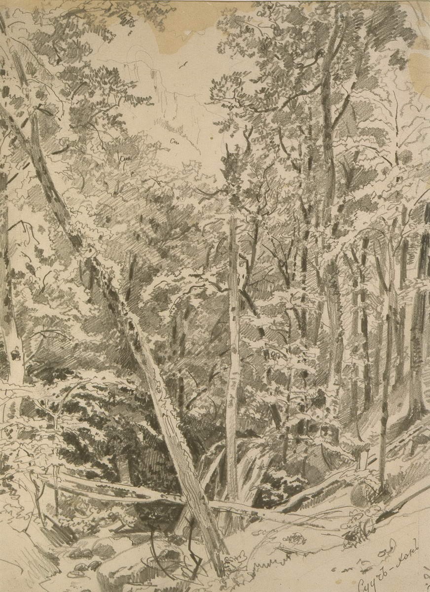 Сууч-Хан. Крым, Ivan Shishkin, 1870s (?)