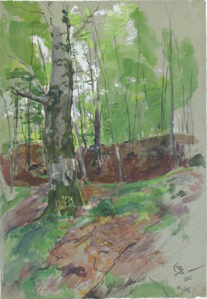 Буковая роща в окрестностях Мюнхена, Valentin Serov, 1885