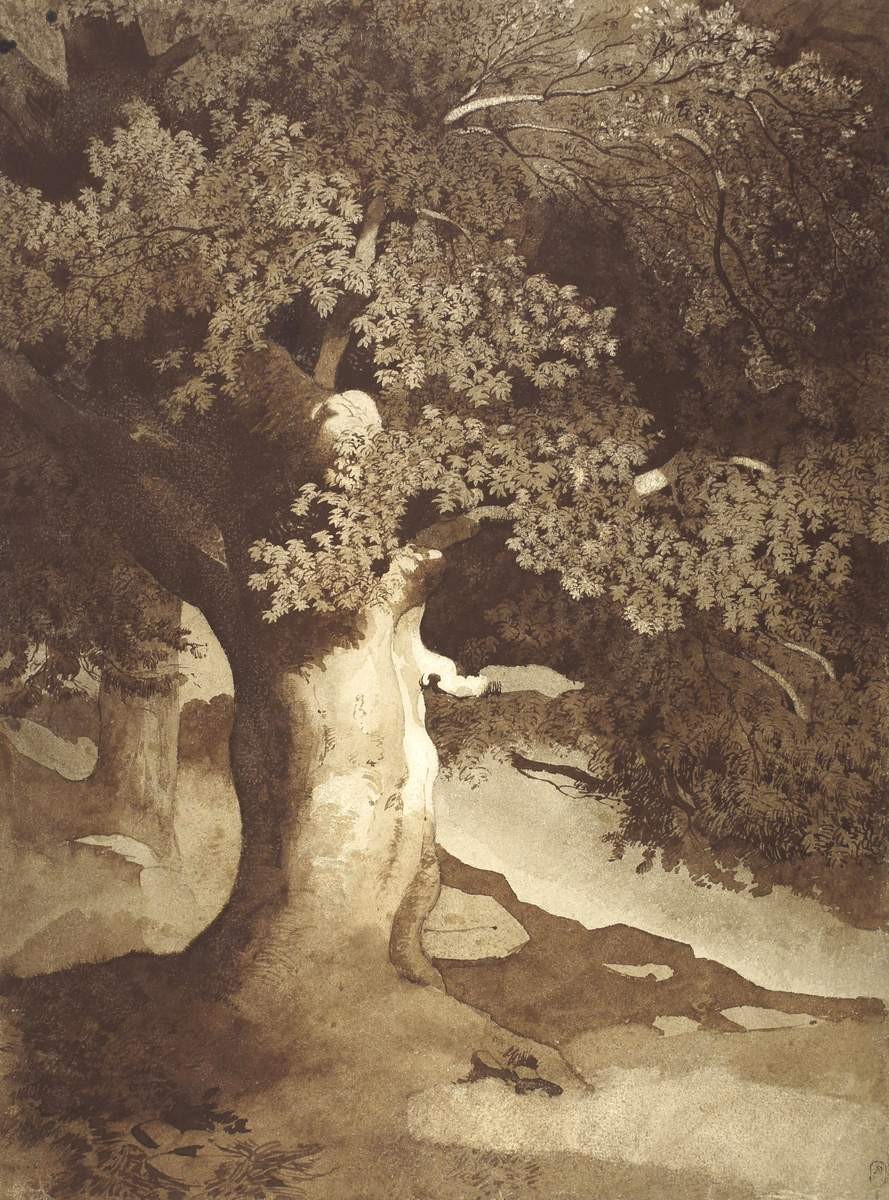 Дерево, Fyodor Vasilyev, late 1860s (?)