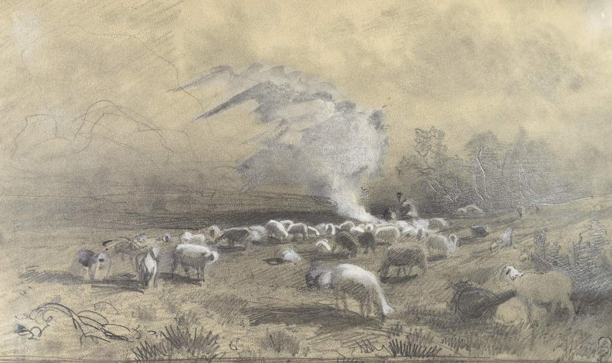 Овцы на пастбище, Fyodor Vasilyev, 1867–1869