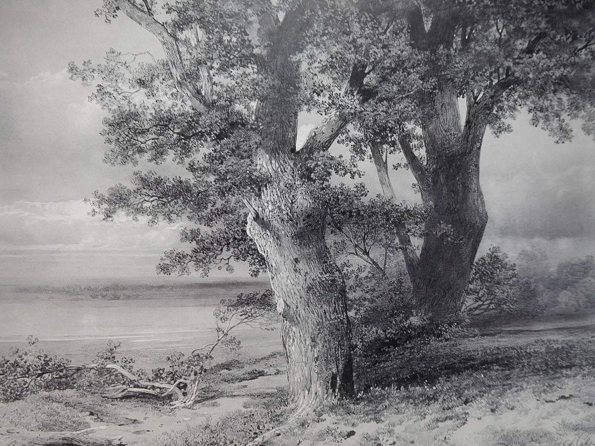 Деревья, Alexei Savrasov, 1867