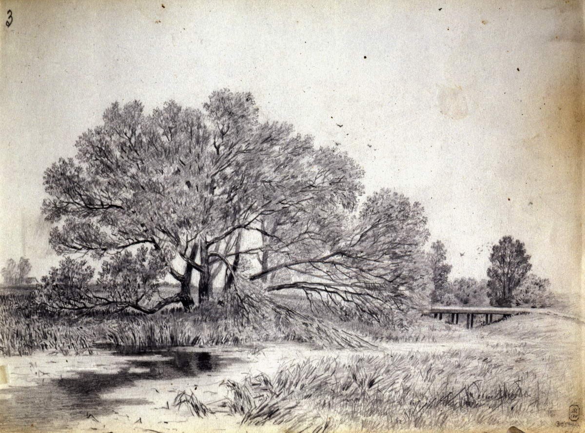 Ветлы у речки, Arkhip Kuindzhi, 1870s