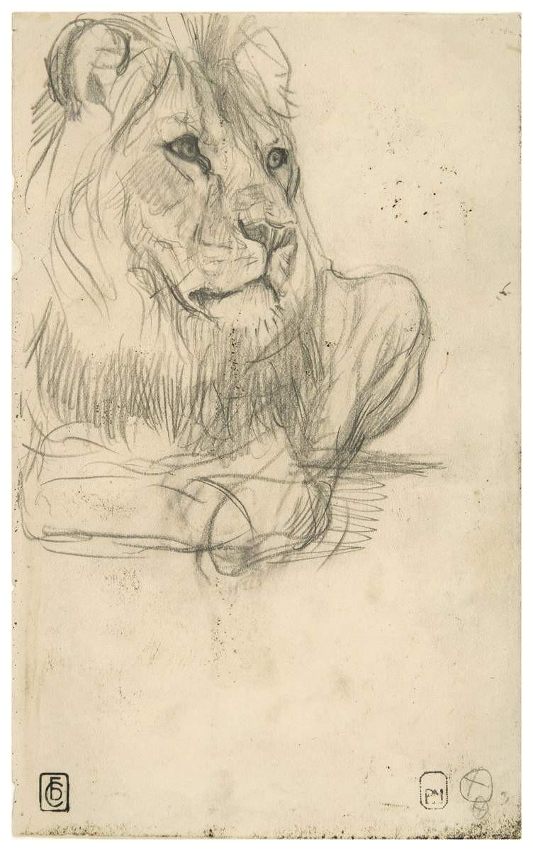 Лев, Valentin Serov, 1896