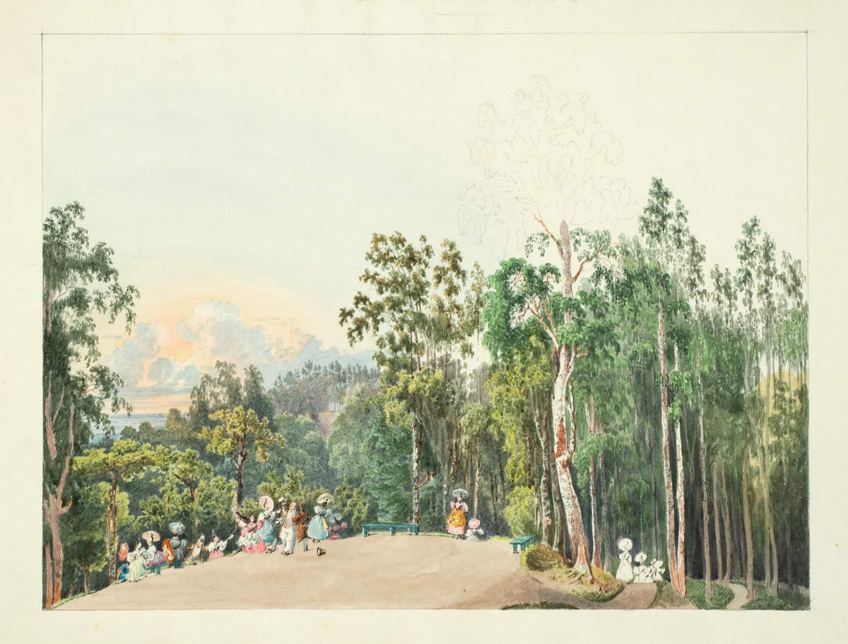 Шуваловский парк в Парголове. Вид с Парнаса, Vasily Sadovnikov, 1833