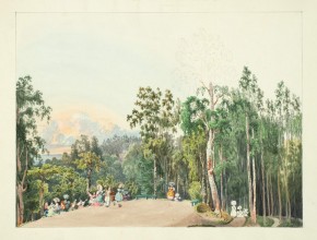 Шуваловский парк в Парголове. Вид с Парнаса