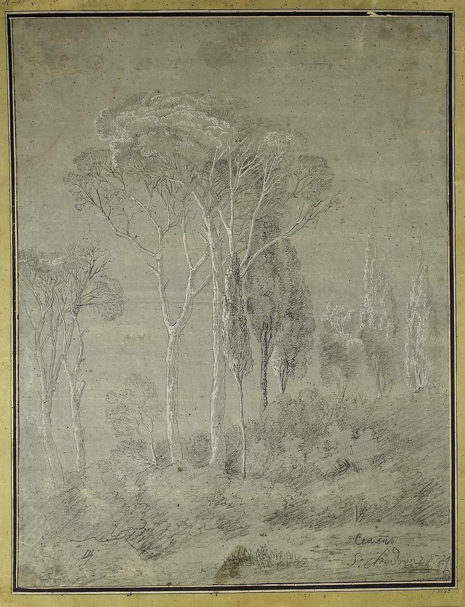 Пинии и кипарисы, Semyon Shchedrin, 1774