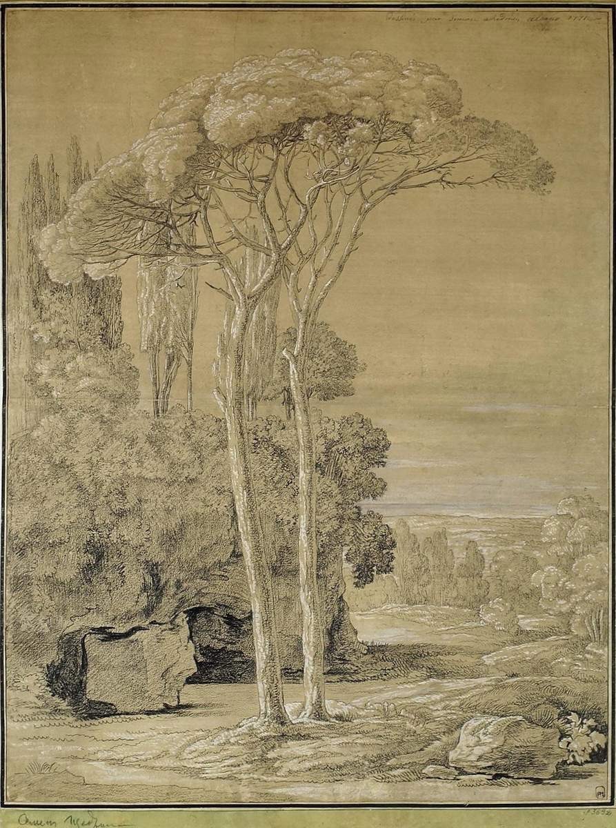 Пинии в Альбано, Semyon Shchedrin, 1771