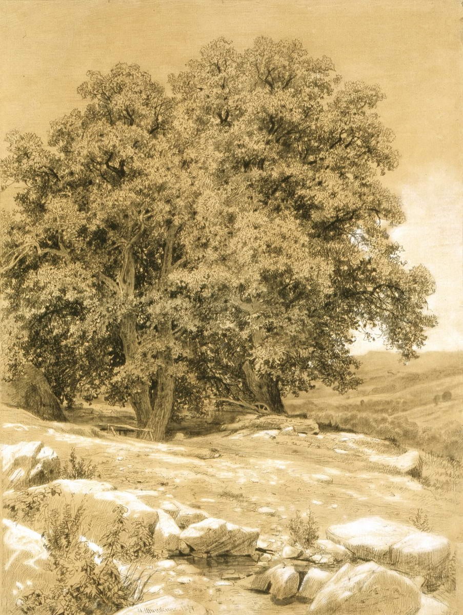 Дубы, Ivan Shishkin, 1884