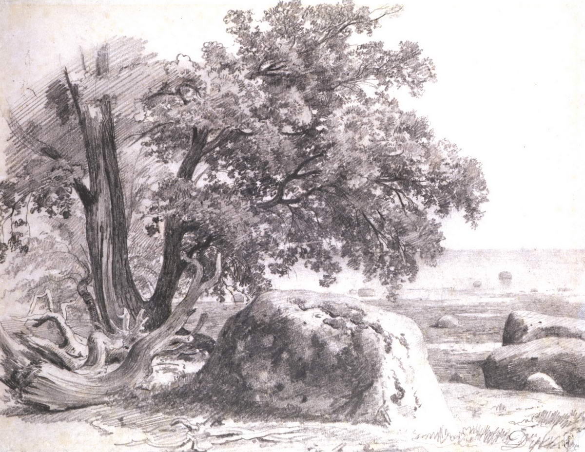 Дубки. Пейзаж, Ivan Shishkin, 1867