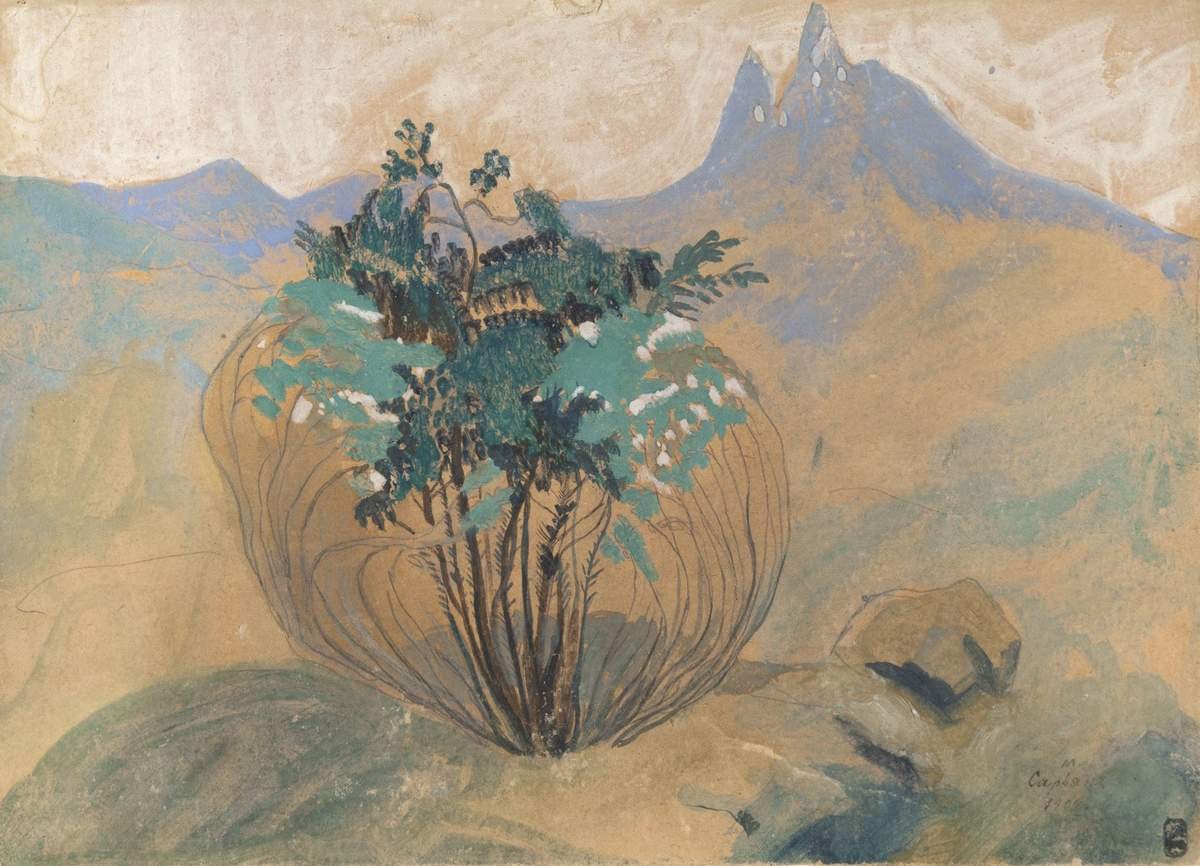 Пейзаж, Martiros Saryan, 1904