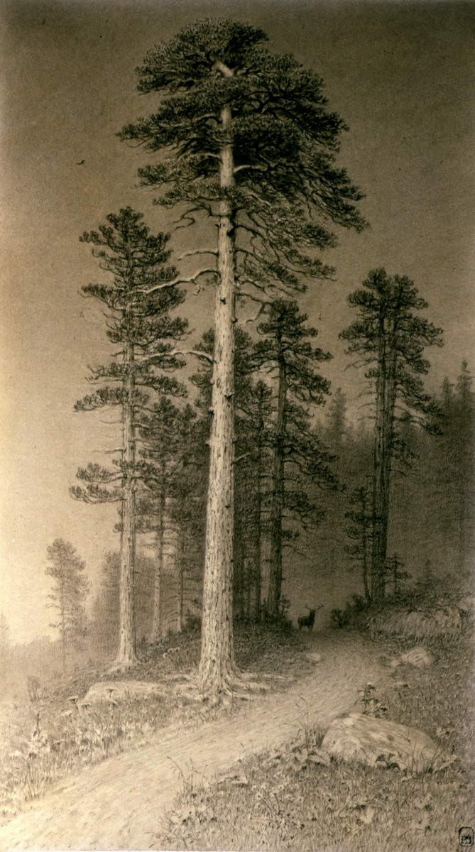 Дорога в сосновом лесу, Arkhip Kuindzhi, 1870s (1880s)