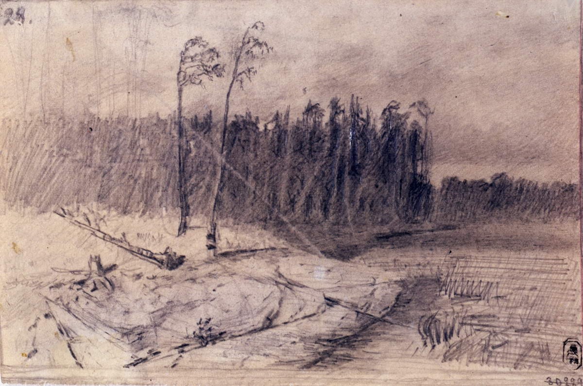 Лес у воды, Arkhip Kuindzhi, 1873