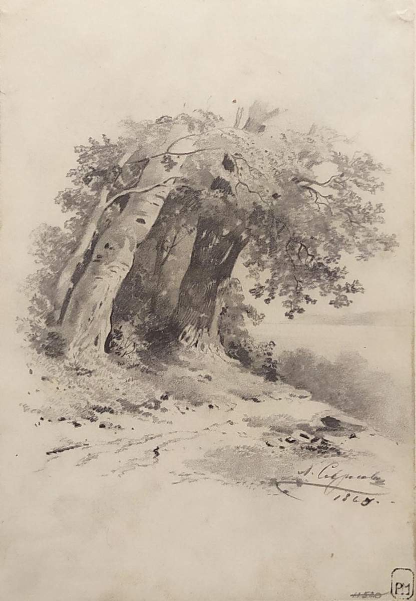 Пейзаж, Alexei Savrasov, 1865