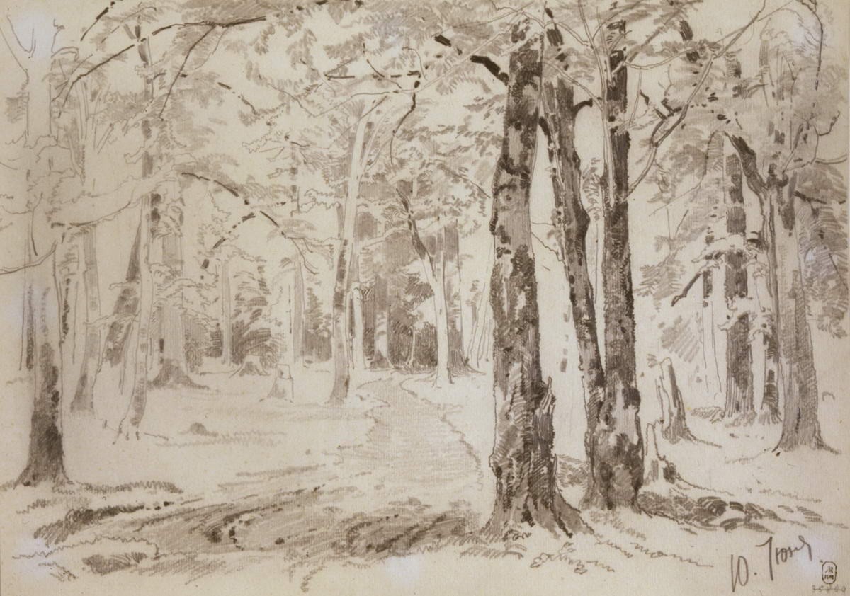 Лес, Ivan Shishkin, late 1870s – 1880s