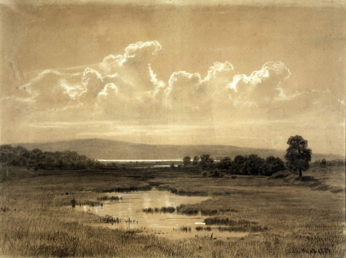 Болото, Ivan Shishkin, 1884