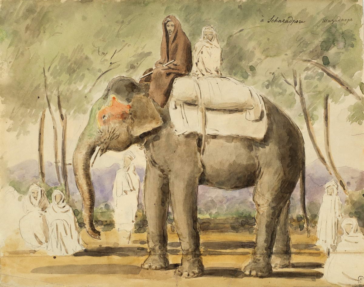 Индийцы на слоне в Шазадпоре, Aleksey Dmitriyevich Saltykov, 1842
