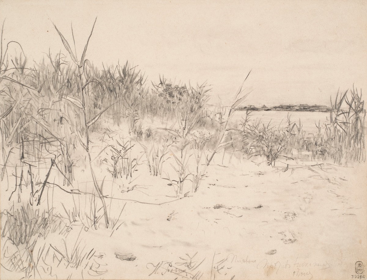 Плавни против Никополя, Ilya Repin, 1880