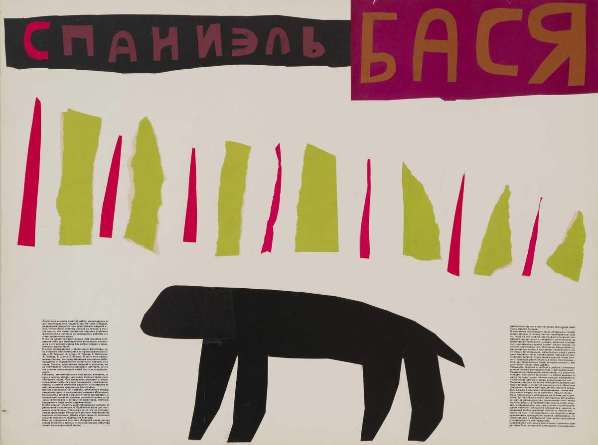 Спаниель Бася, Florenskaya Olga Andreyevna. MR, 1987