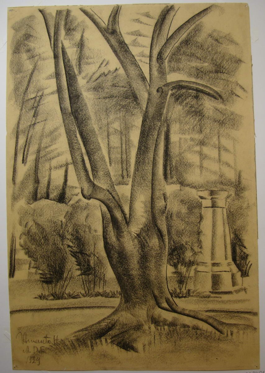 Дерево в парке (Дерево. Мексиканский парк), Victor Arnautoff, 1929