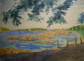 Ленинград. Kаменный остров. Потонувшие барки