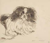 Джо. Лежащая болонка