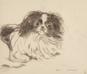 Джо. Лежащая болонка