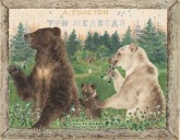 Обложка к сказке Л. Н. Толстого «Три медведя»