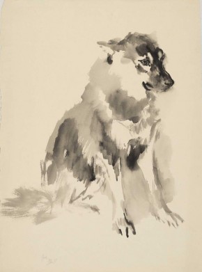 Сидящая собака