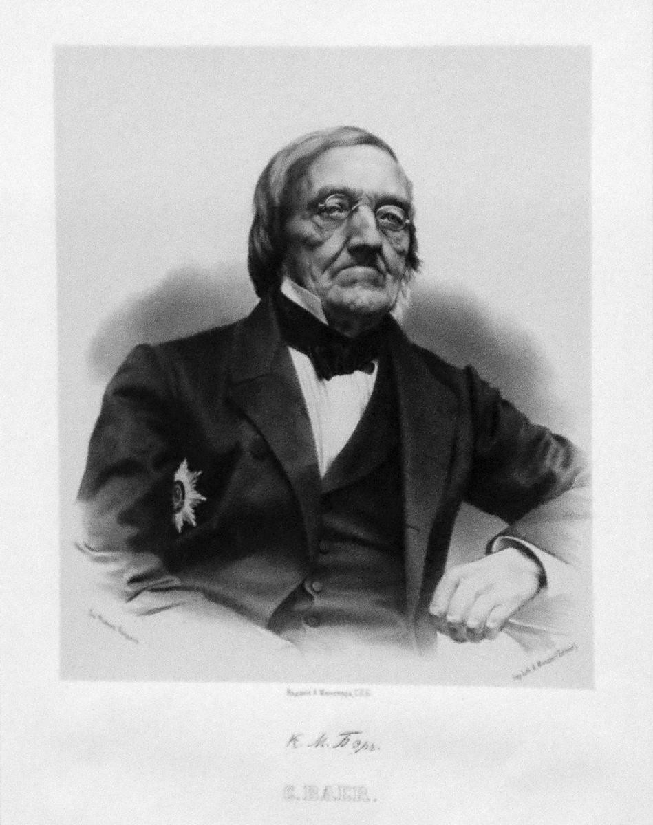 Портрет К. М. Бэра, Petr Borel, 1862