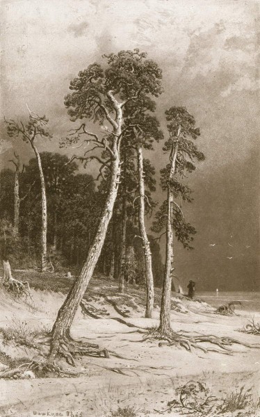 Шишкин И. И..Сосны. 1885