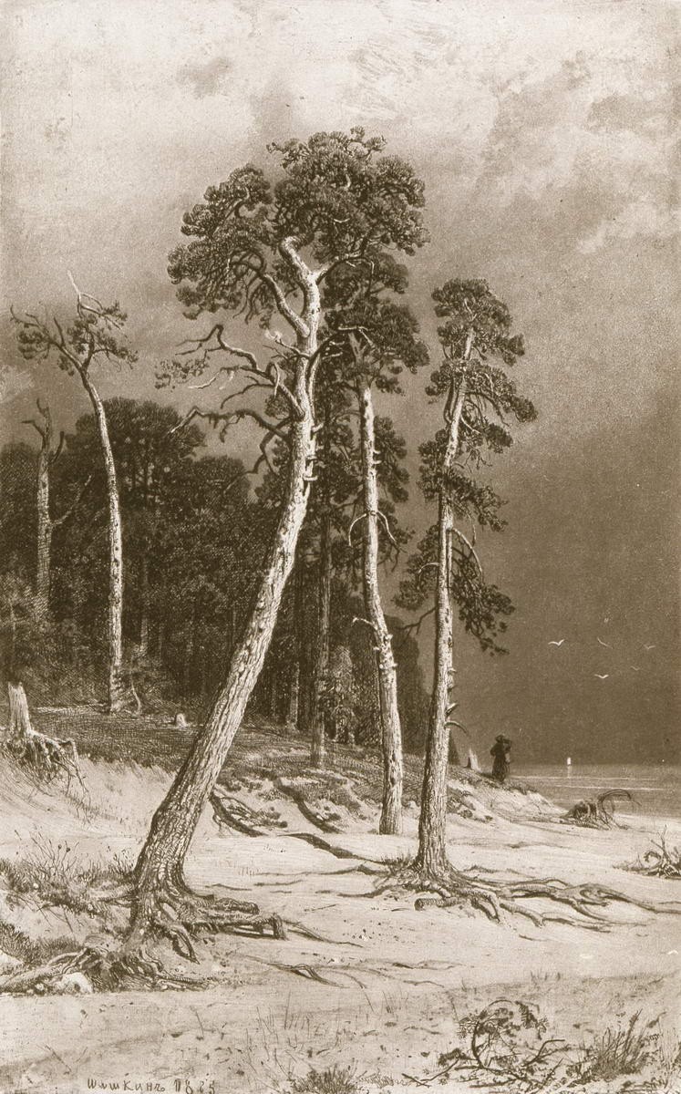 Сосны, Ivan Shishkin, 1885