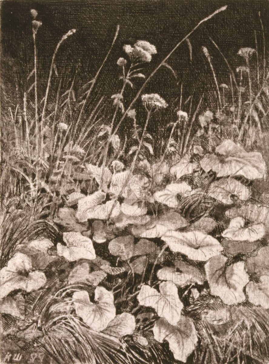 Белые цветы, Ivan Shishkin, 1877