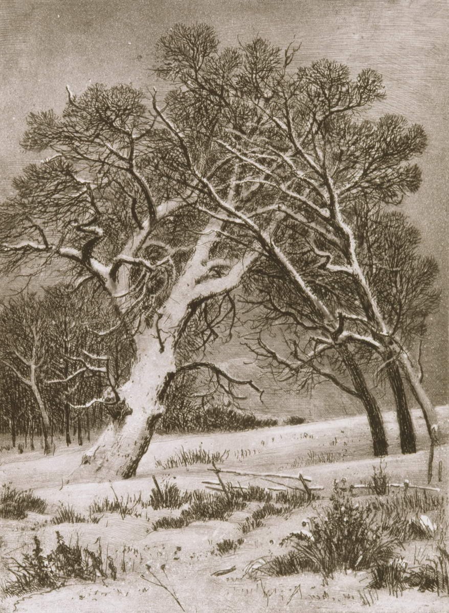 Ветлы, Ivan Shishkin, 1885