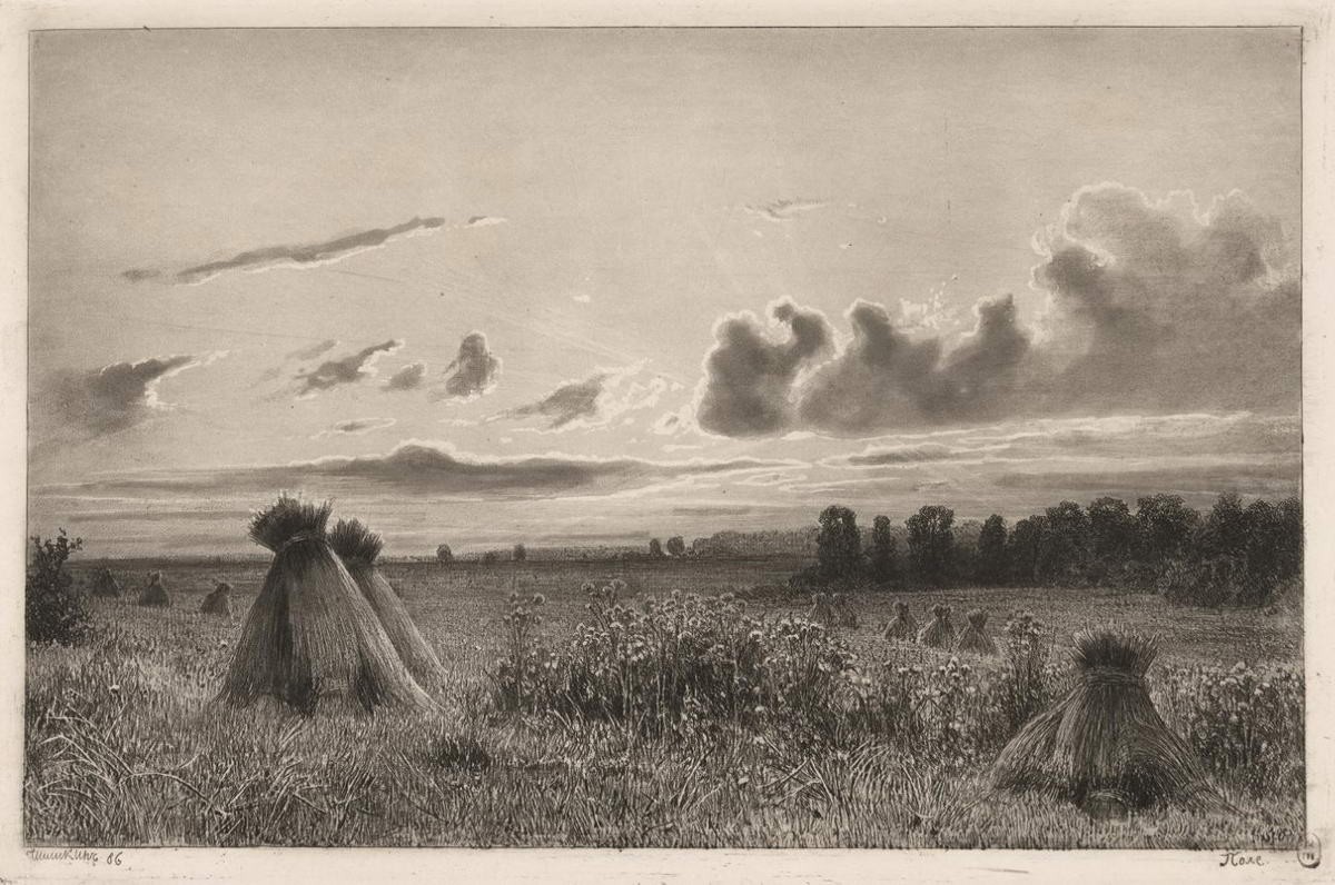 Поле, Ivan Shishkin, 1886