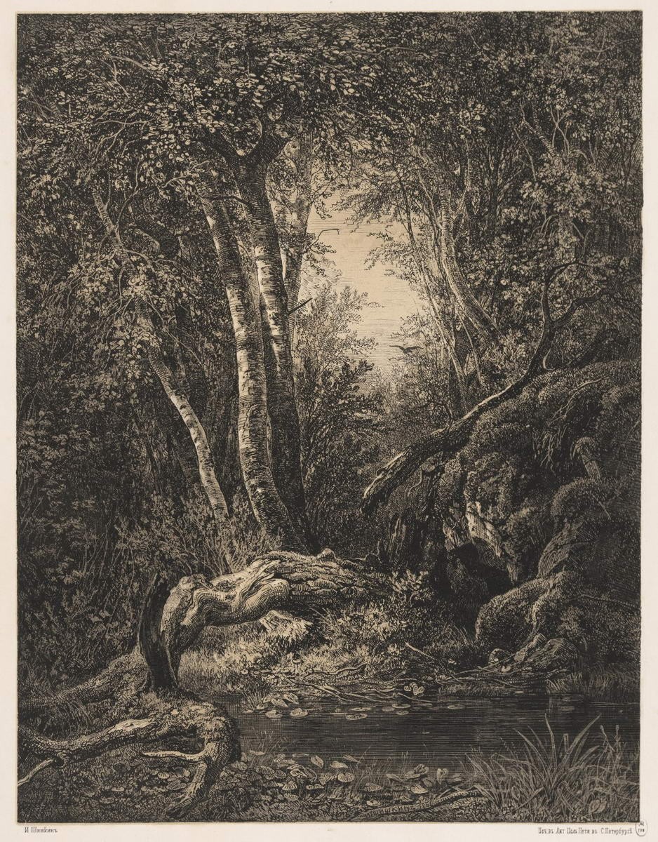 Лес, Ivan Shishkin, 1861