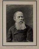 Портрет М.Е. Салтыкова-Щедрина