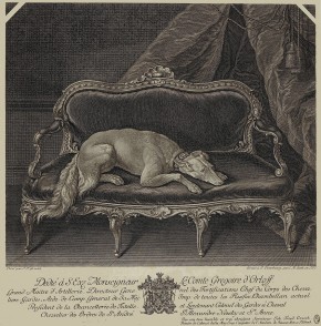 Собака Екатерины II