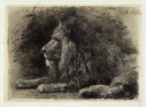 Лежащий лев