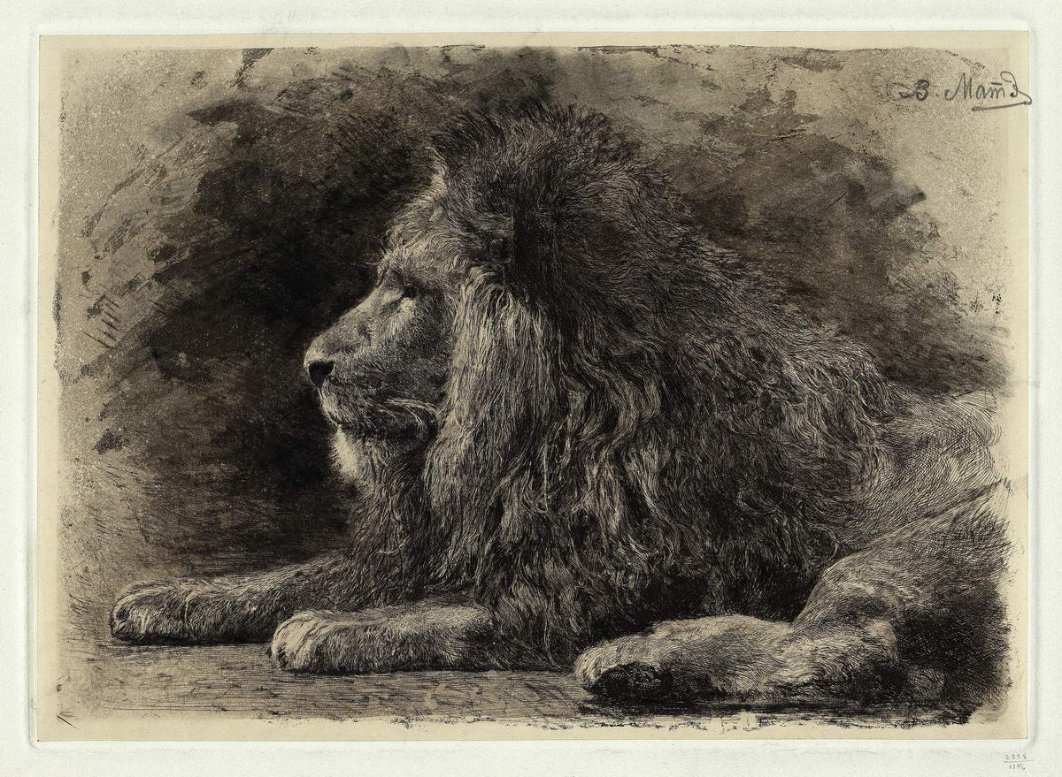 Лежащий лев, Vasily Mate, 1895