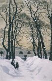 Летний сад зимой