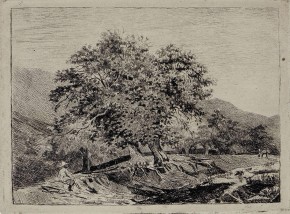 Сельский вид