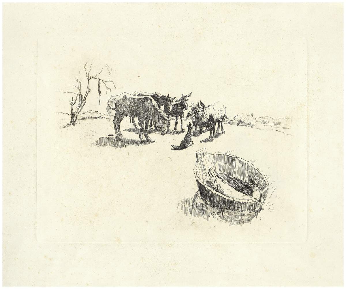 Щука, Valentin Serov, 1898