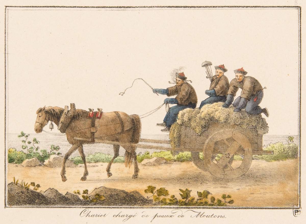 Телега, нагруженная бараньими шкурами, Andrey Yefimovich Martynov, 1822–1823