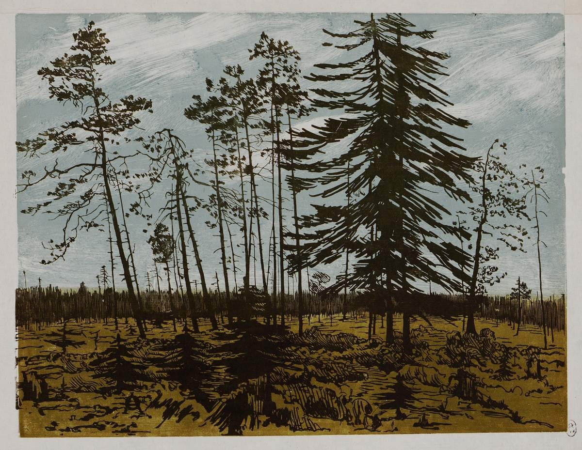 Финляндия с голубым небом, Остроумова-Лебедева Анна Петровна, 1900