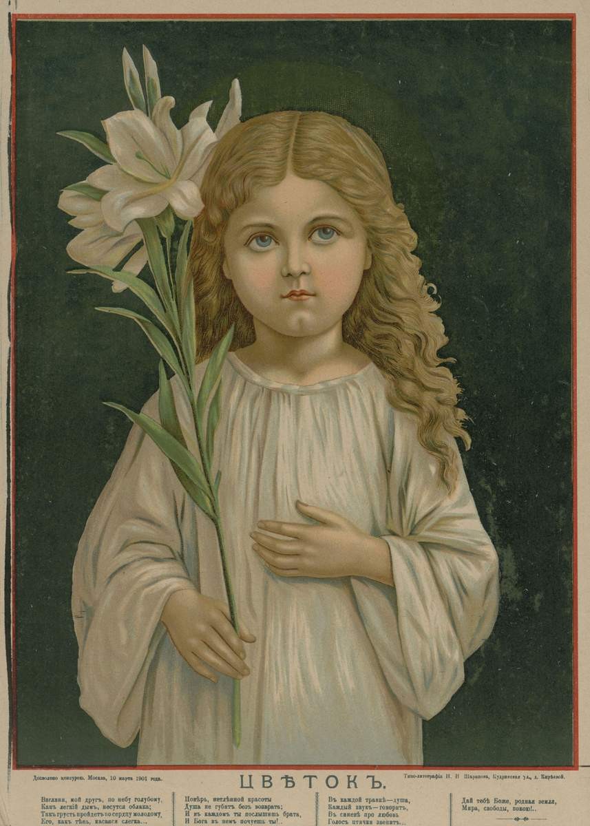 Цветок, 1901