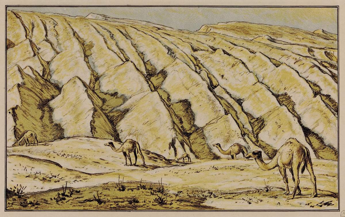 Пейзаж с верблюдами, Eugene Lanceray, 1923