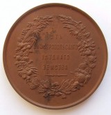 Медаль Симферопольского уездного земства